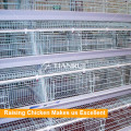 Qingdao A Type Galvanized Automatic Poultry Layer Cage Para Venda